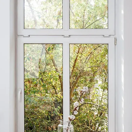 Apartment Rustic Charm *